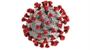 Image for Global Coronavirus Cases Cross 34.77 Million, Death Toll at 1,029,669