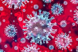 Image for Worldwide Coronavirus Cases Cross 74.27 Million