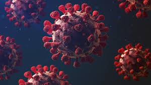 Image for Global Coronavirus Cases Cross 80.86 Million