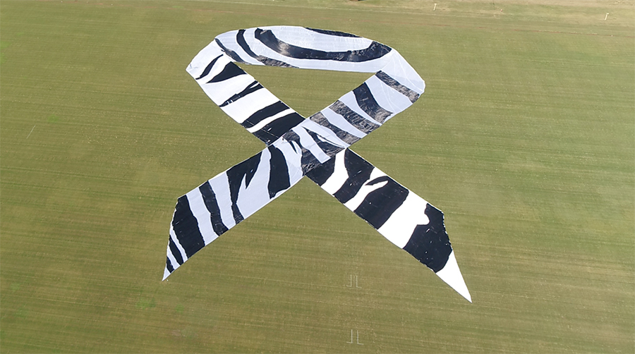 Image for Emirates Oncology Society And Ipsen Break Guinness World Record For Largest Awareness Ribbon