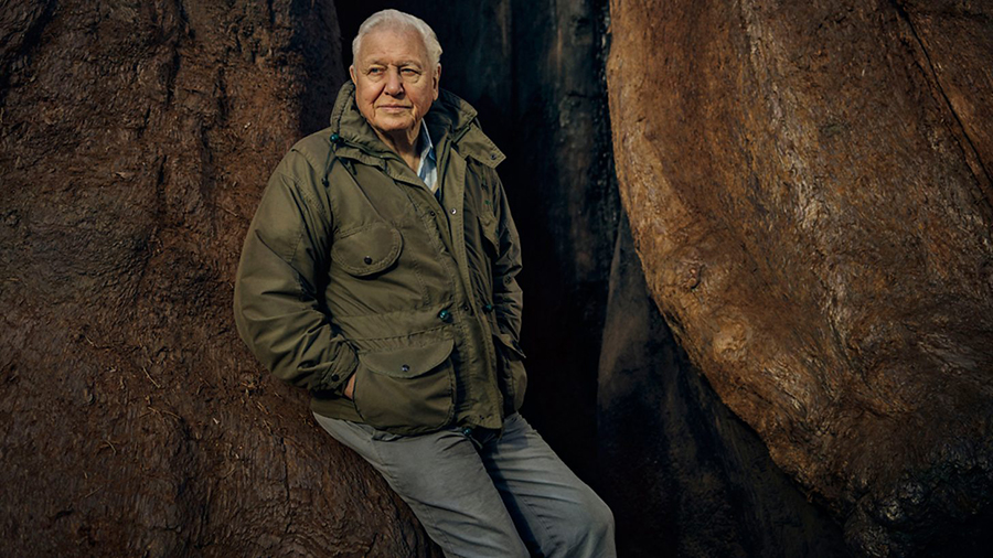 Image for BBC Earth Announces Brand New Series The Green Planet With Sir David Attenborough