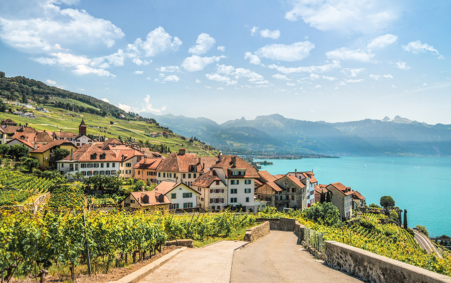 Image for Lavaux – A Panoramic Destination In The Heart Of The Canton Of Vaud