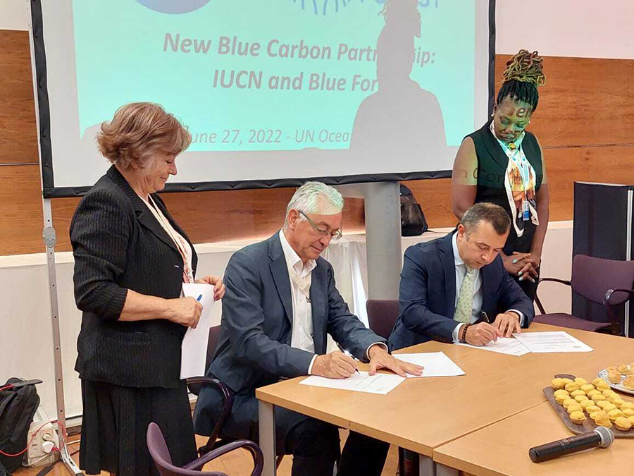 Image for New Blue Carbon Partnership – A Model Mandate For Sustainable Regeneration