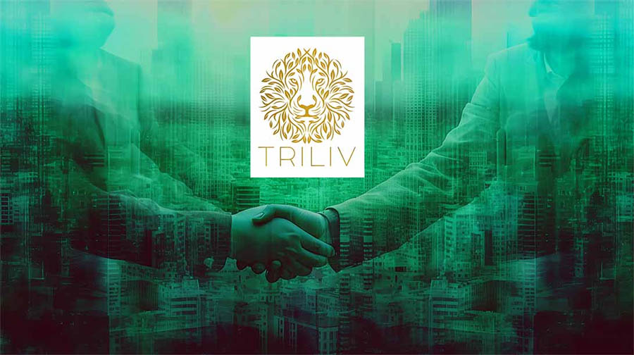 Image for Triliv Holdings LTD Joins Verchool Holdings’ As Strategic Investor On A $50 Million Valuation Round