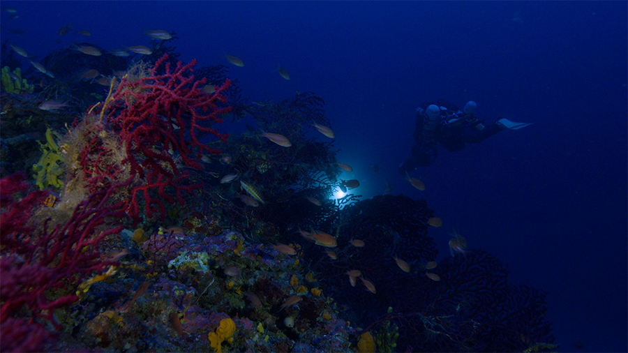 Image for “We Go To Places Where Nobody Has Been Before” – The Couple Exploring The Depths Of The Mediterranean Sea