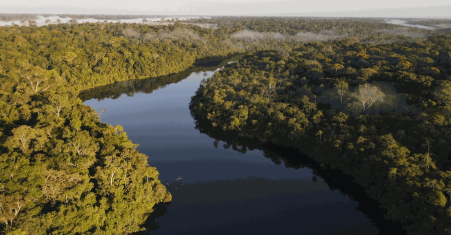 Amazon Day: Climate Action In Brazil’s Most Important Biome Starts In Cities